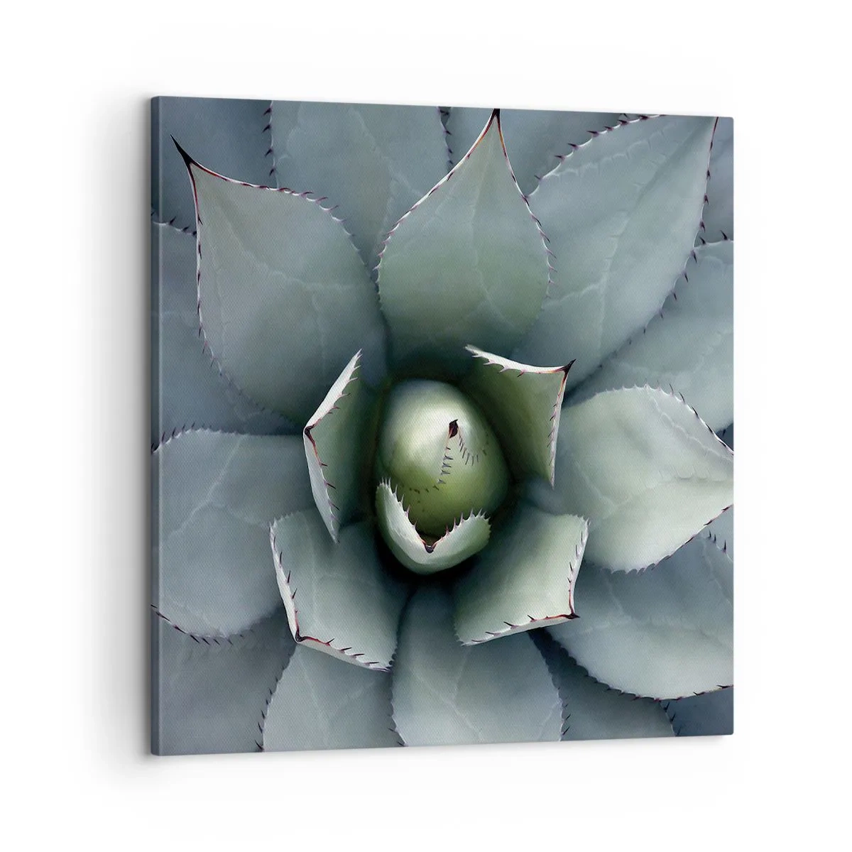 Quadro em tela - Atrai e adverte - 60x60 cm