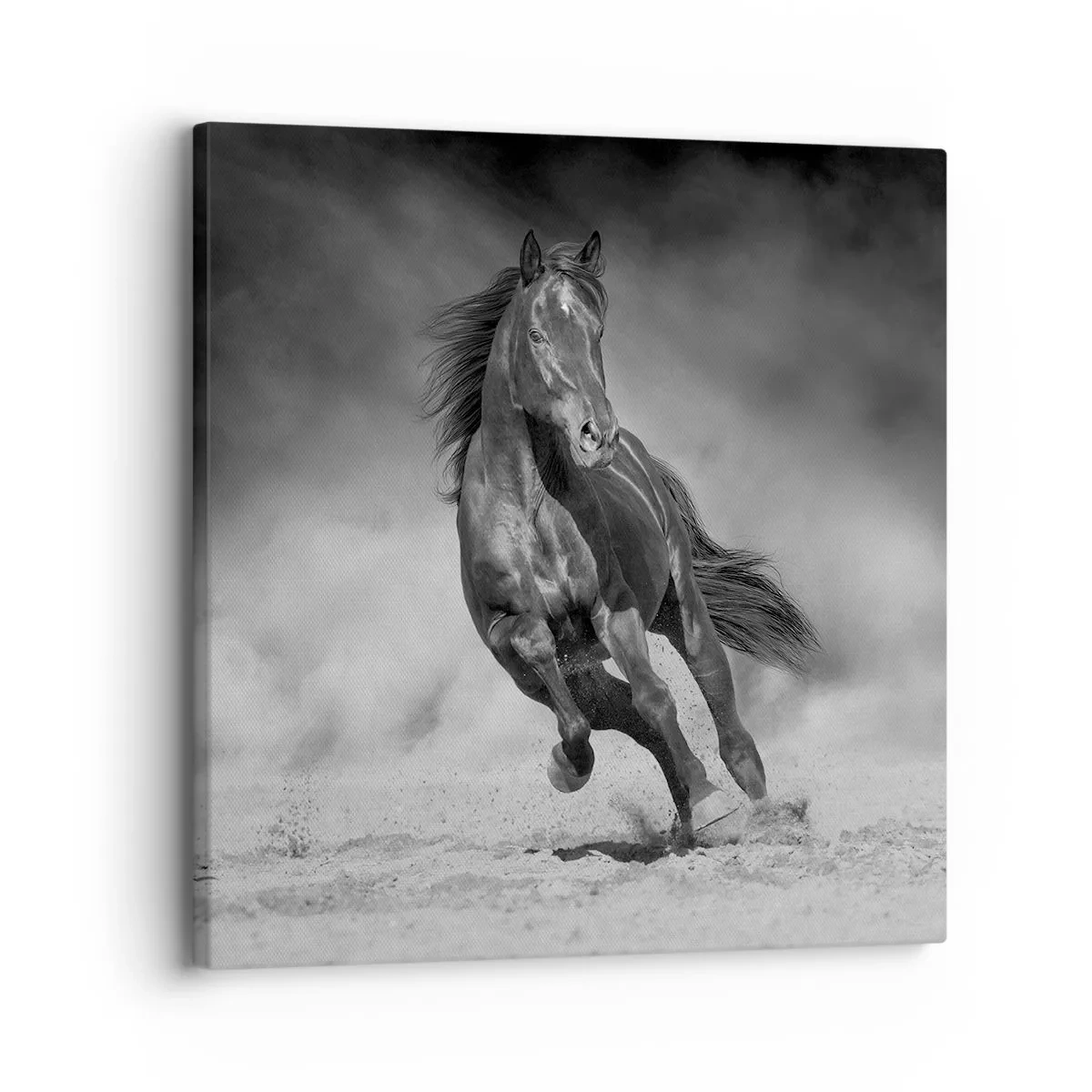 Quadro em tela - Digno do próprio emir - 30x30 cm