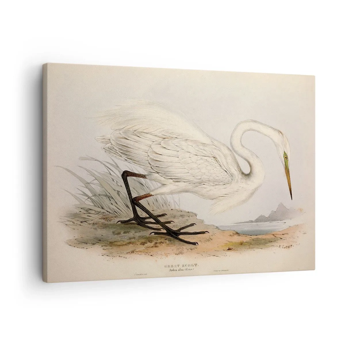 Quadro em tela - Desenho de uma garça branca contra um fundo de paisagem natural - 70x50cm - A senhora nos juncos - Decoração de parede moderna para a sala de estar e quarto ARTTOR