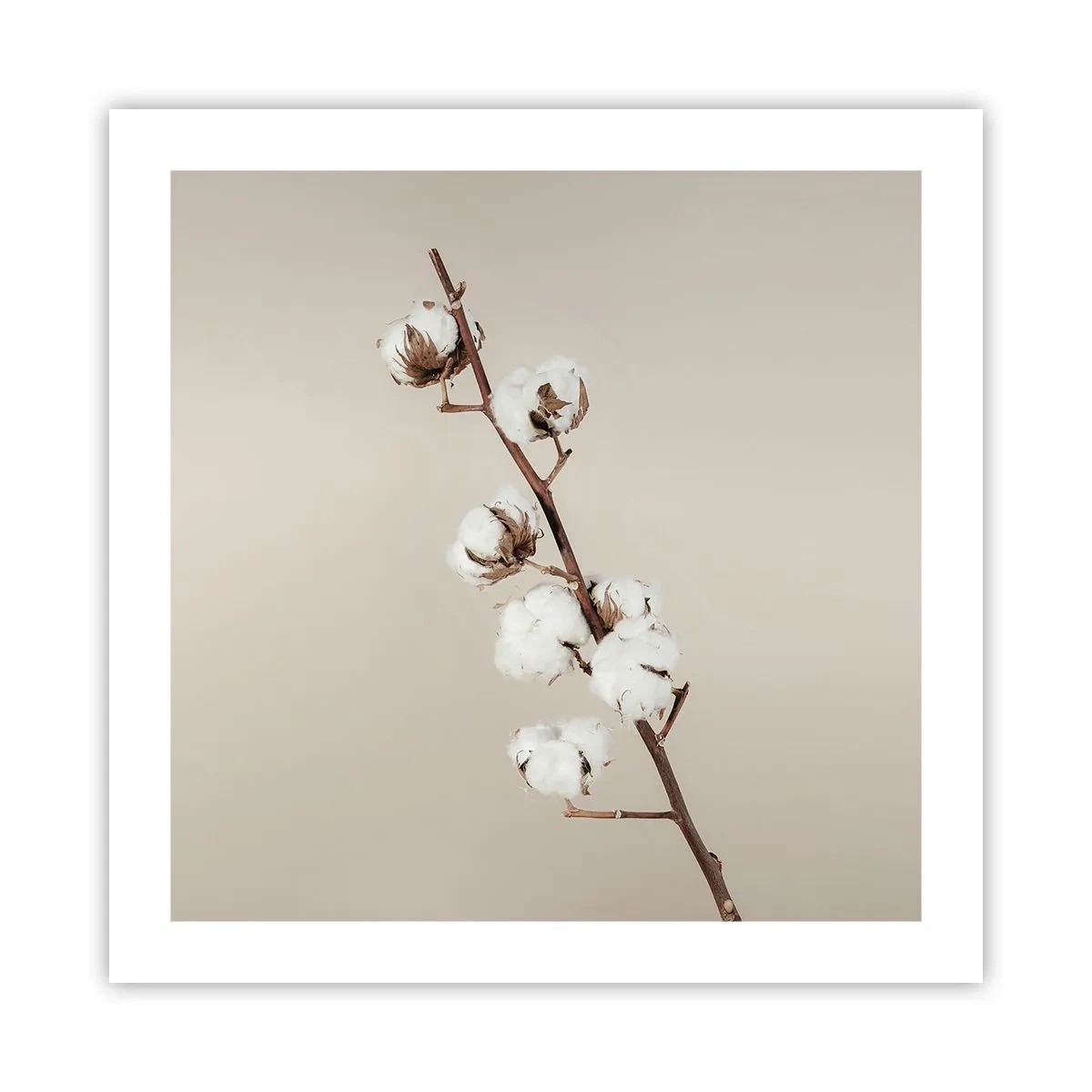 Pôster - Na fonte da suavidade - 50x50 cm