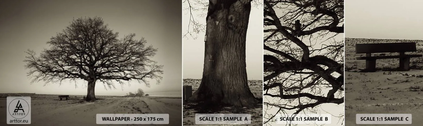 Amostra de Papel de Parede Standard Eco - Daqui para a eternidade - Paisagem, Árvore, Natureza - 100x30 cm