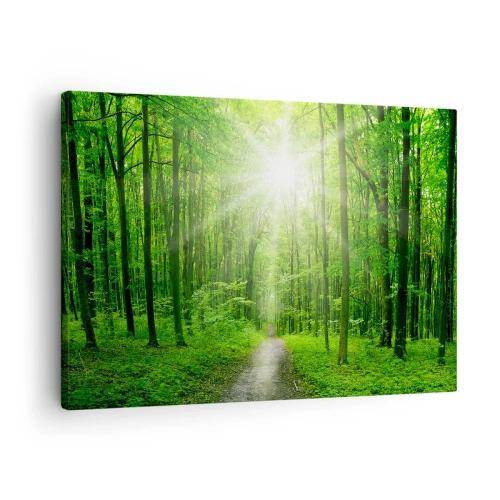 Quadro em tela - Caminho na floresta com raios de sol - 70x50cm - Catedral Verde - Decoração de parede moderna para a sala de estar e quarto ARTTOR