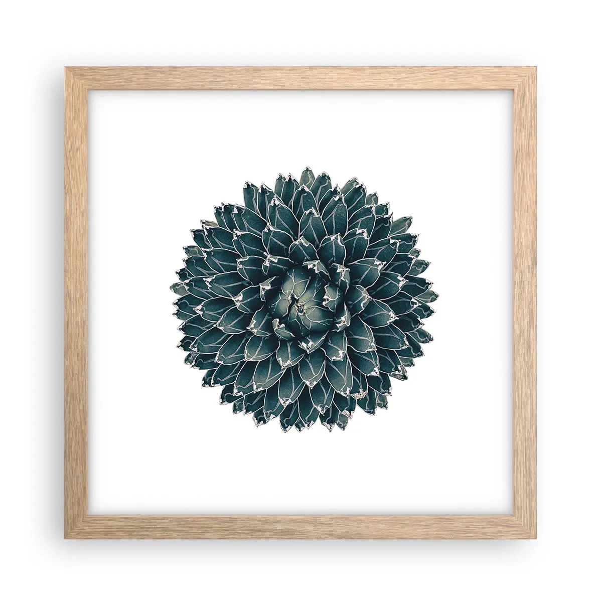 Pôster com moldura de carvalho claro - Estrela do Deserto - 30x30 cm