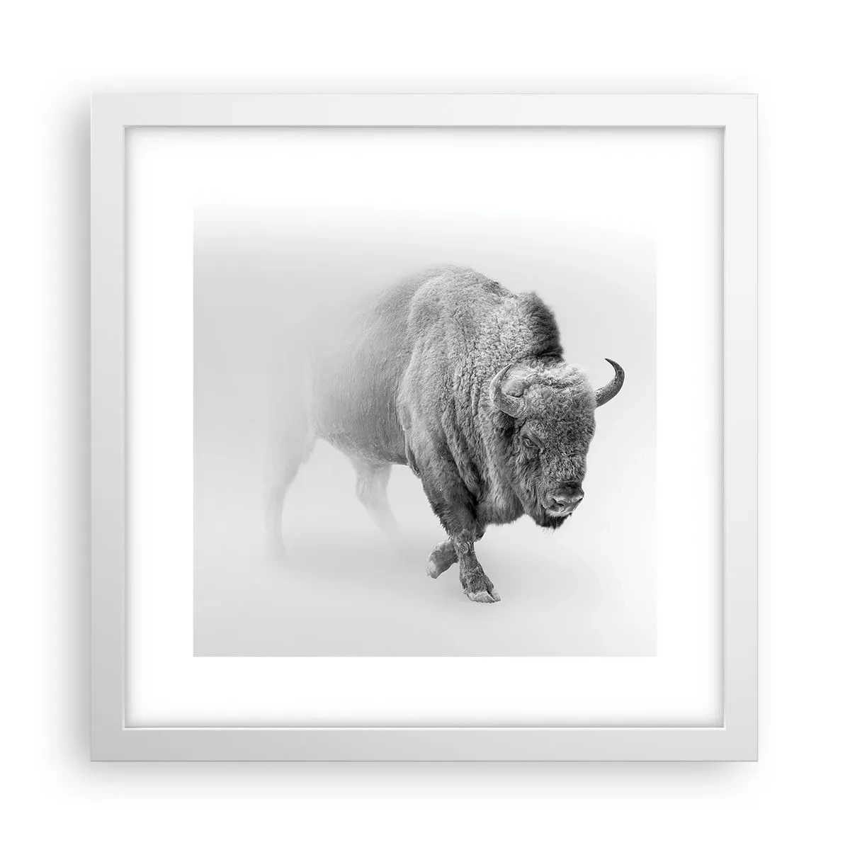 Pôster em moldura branca - Rei da Pradaria - 30x30 cm