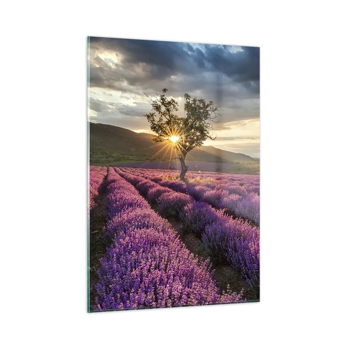 Quadro em vidro - Aroma lilás - 50x70 cm