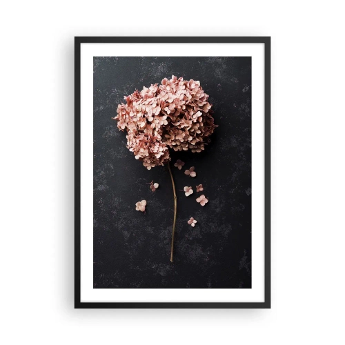 Pôster com moldura preta - Hortênsia seca em fundo preto - 50x70cm - Um sinal verdadeiramente romântico - Decoração de parede moderna para a sala de estar e quarto ARTTOR