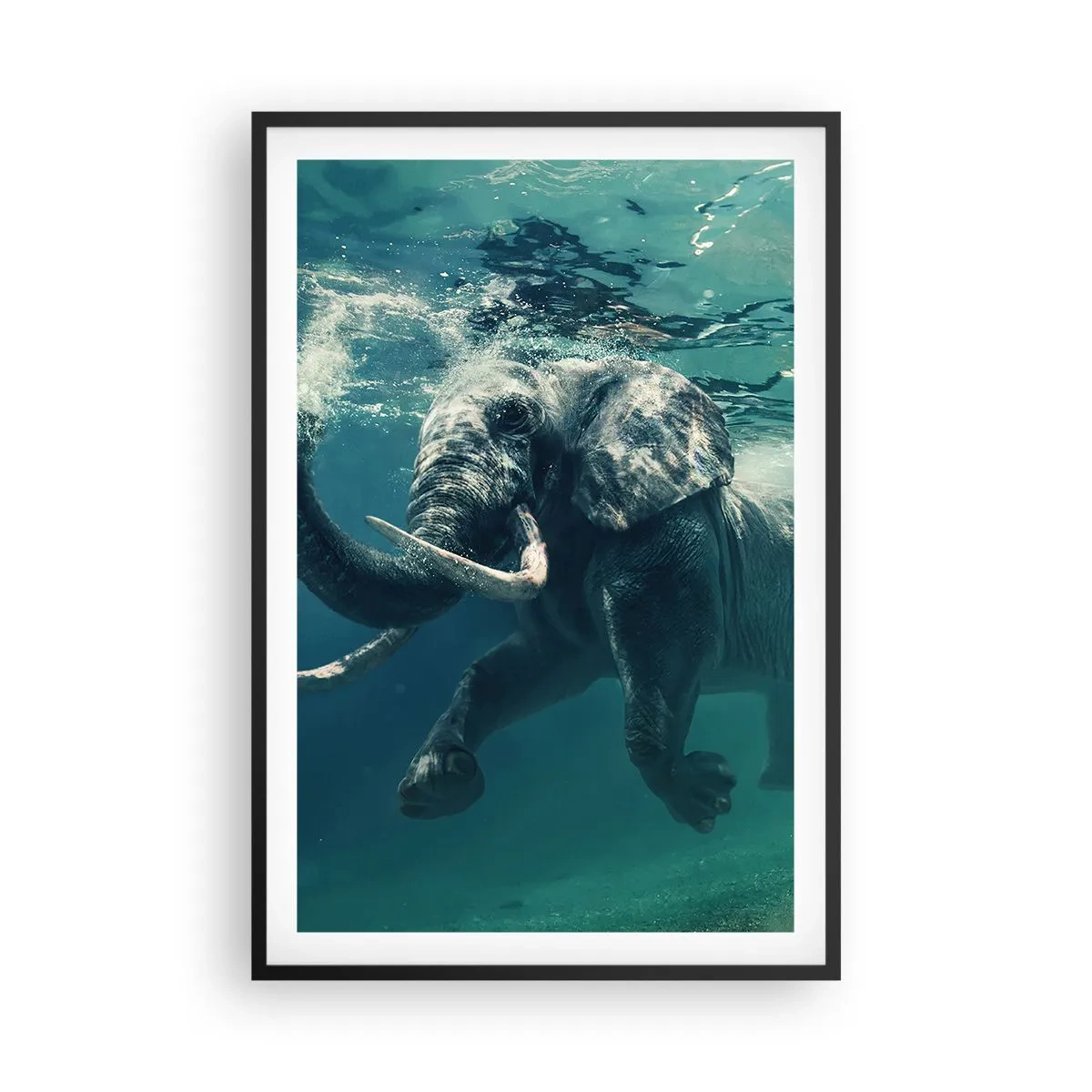 Pôster com moldura preta - Todo mundo gosta de nadar - 61x91 cm