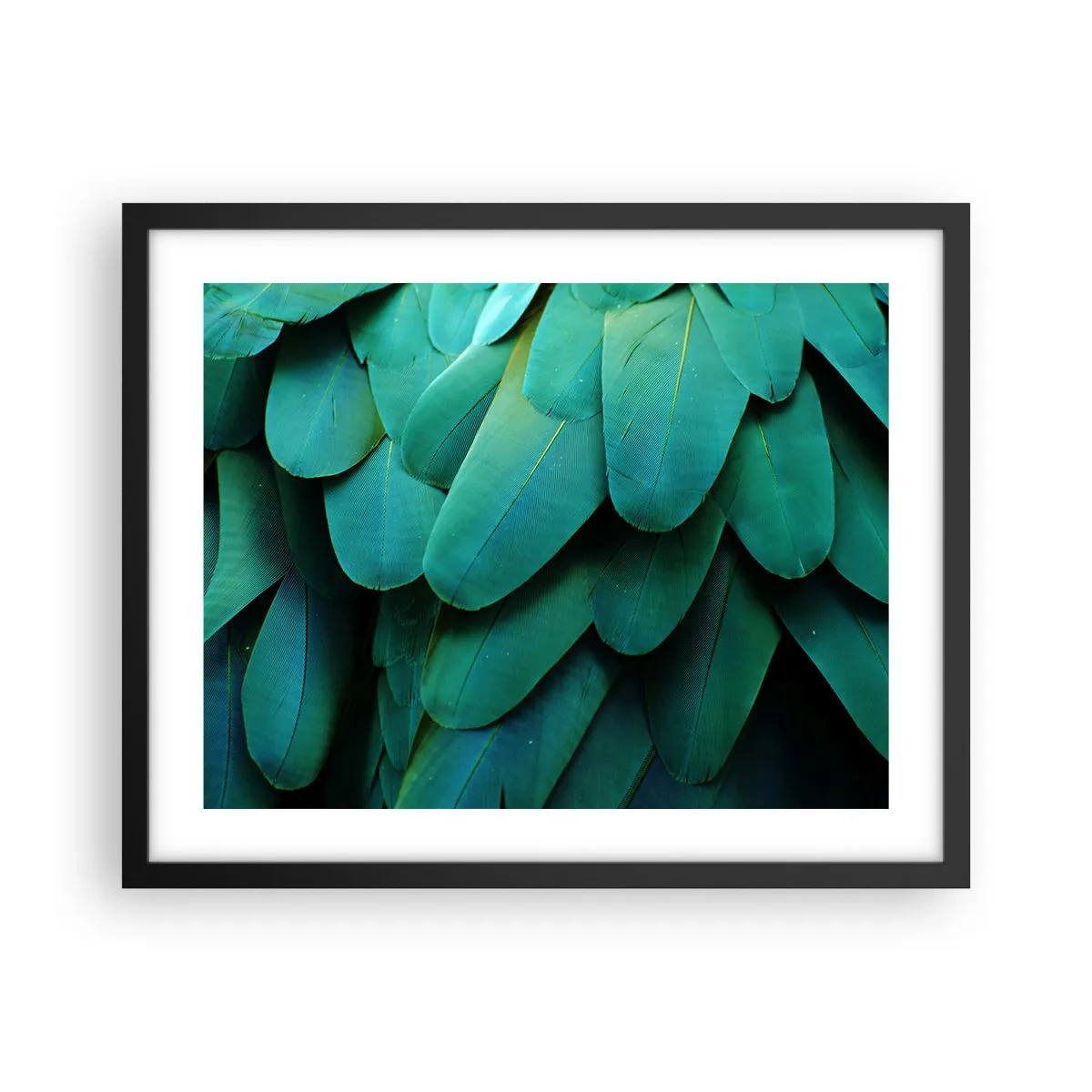 Pôster com moldura preta - Precisão de papagaio - 50x40 cm