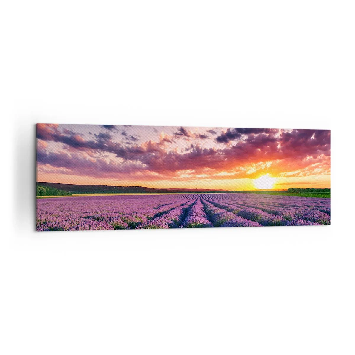 Quadro em tela - O mundo da lavanda - 160x50 cm
