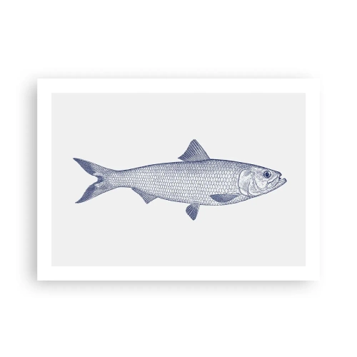 Pôster - Saudações dos mares do norte - 70x50 cm