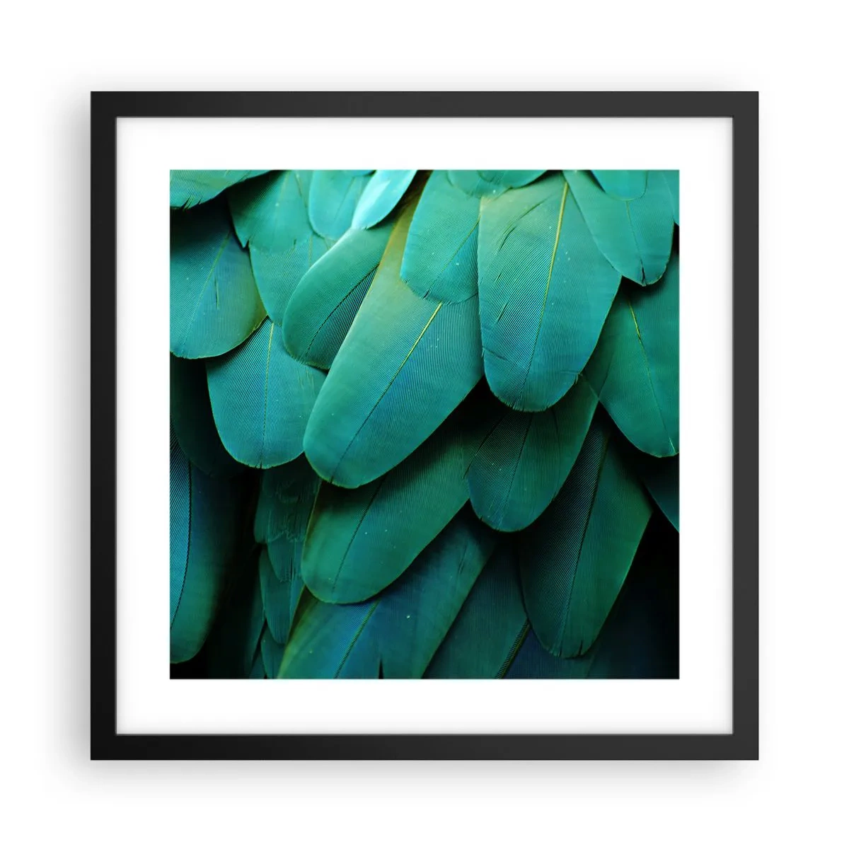 Pôster com moldura preta - Precisão de papagaio - 40x40 cm