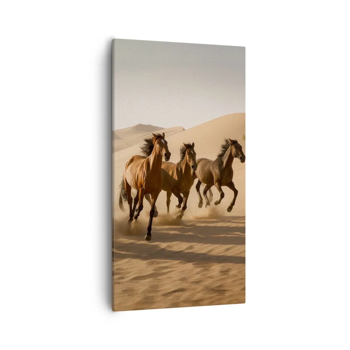 Quadro em tela - Livre como o vento - 55x100 cm