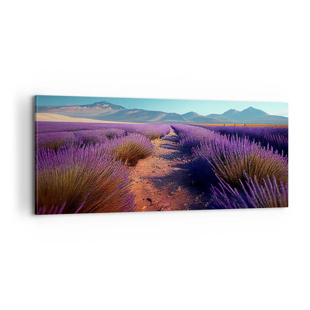 Quadro em tela - Campos perfumados - 100x40 cm