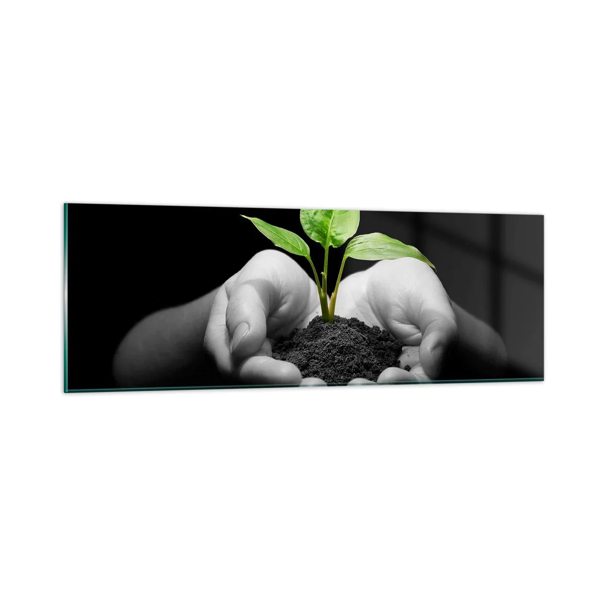 Quadro em vidro - Eu amo a natureza, eu a protejo - 90x30 cm