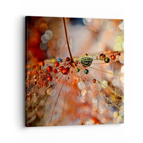 Quadro em tela - Enroscado numa teia de aranha - 30x30 cm