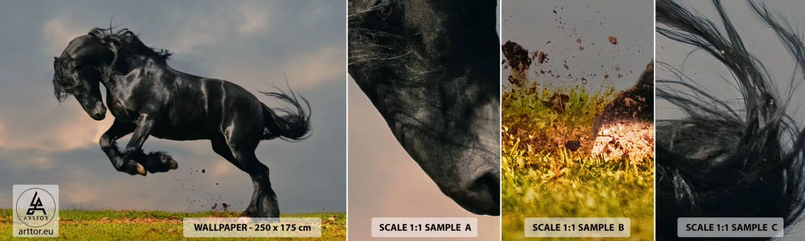 Amostra de papel de parede autocolante Deluxe Sticker - Bonito e lento - Animais, Cavalo, Paisagem - 100x30 cm