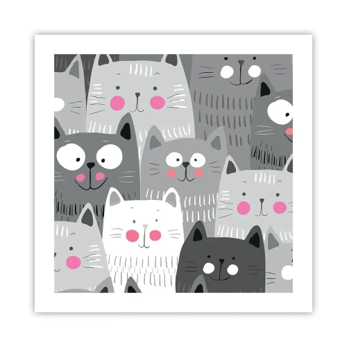 Pôster - O mundo dos gatos - 50x50 cm