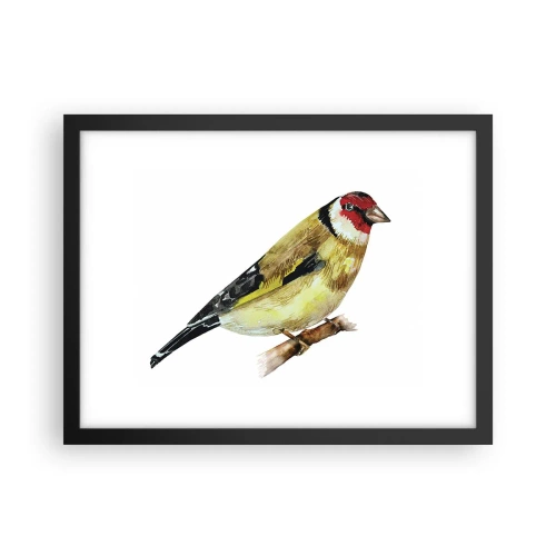 Pôster com moldura preta - Retrato de um pássaro - 40x30 cm