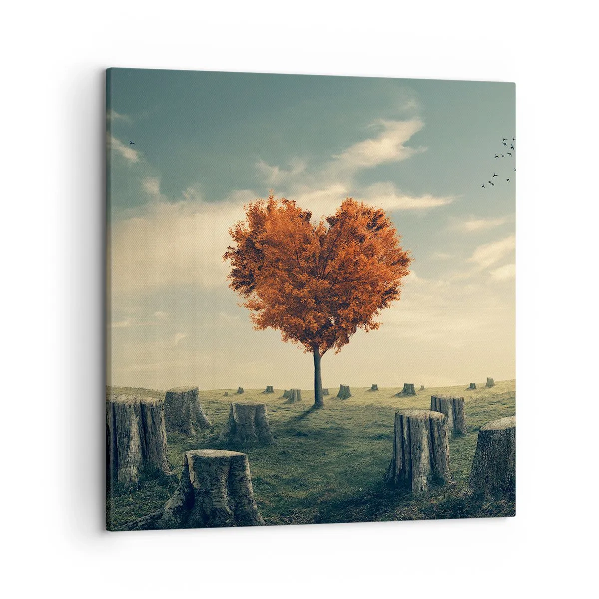 Quadro em tela - Ainda há esperança - 50x50 cm