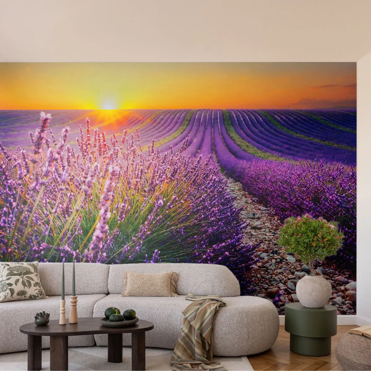 Papel de Parede Premium Sand - Prado perfumado - Paisagem, Campo de Lavanda, Provença - 500x350 cm