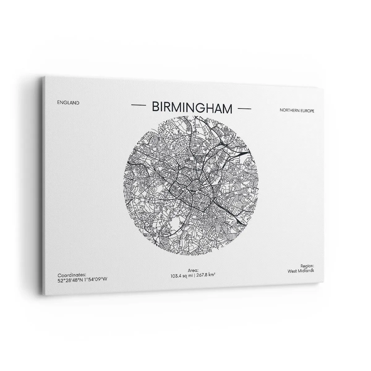 Quadro em tela - Anatomia de Birmingham - 100x70 cm