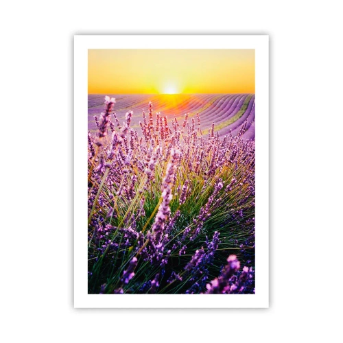 Pôster - Prado perfumado - 50x70 cm