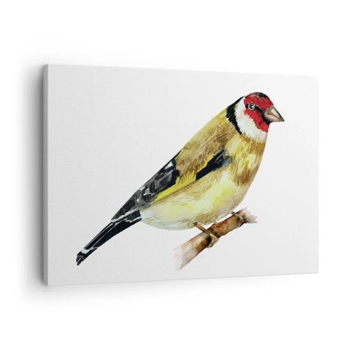 Quadro em tela - Um pássaro com cabeça vermelha em um galho - 70x50cm - Retrato de um pássaro - Decoração de parede moderna para a sala de estar e quarto ARTTOR