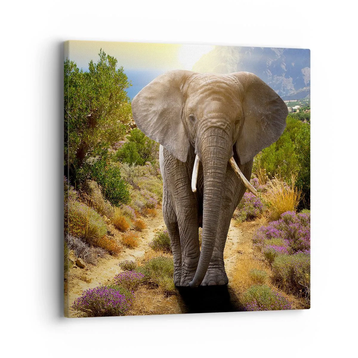 Quadro em tela - Assim era o Éden - 40x40 cm