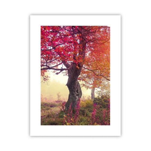 Pôster - Um frenesi de florescimento - 30x40 cm