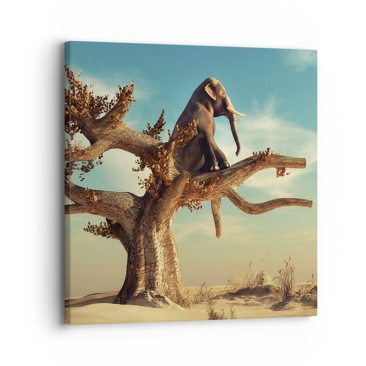 Quadro em tela - Um novo ponto de vista - 30x30 cm