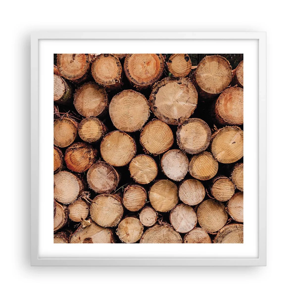 Pôster em moldura branca - Um novo começo - 50x50 cm