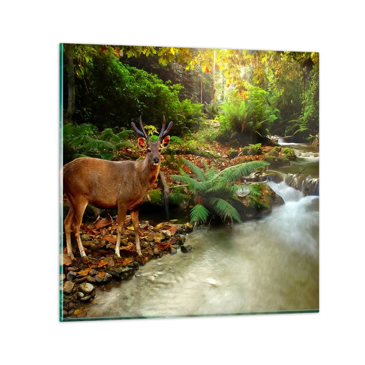 Quadro em vidro - Bem-vindo ao meu mundo - 70x70 cm