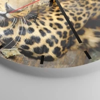 Mostrador com traços