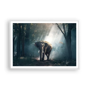 Pôster em moldura branca - Um passeio descontraído - 100x70 cm