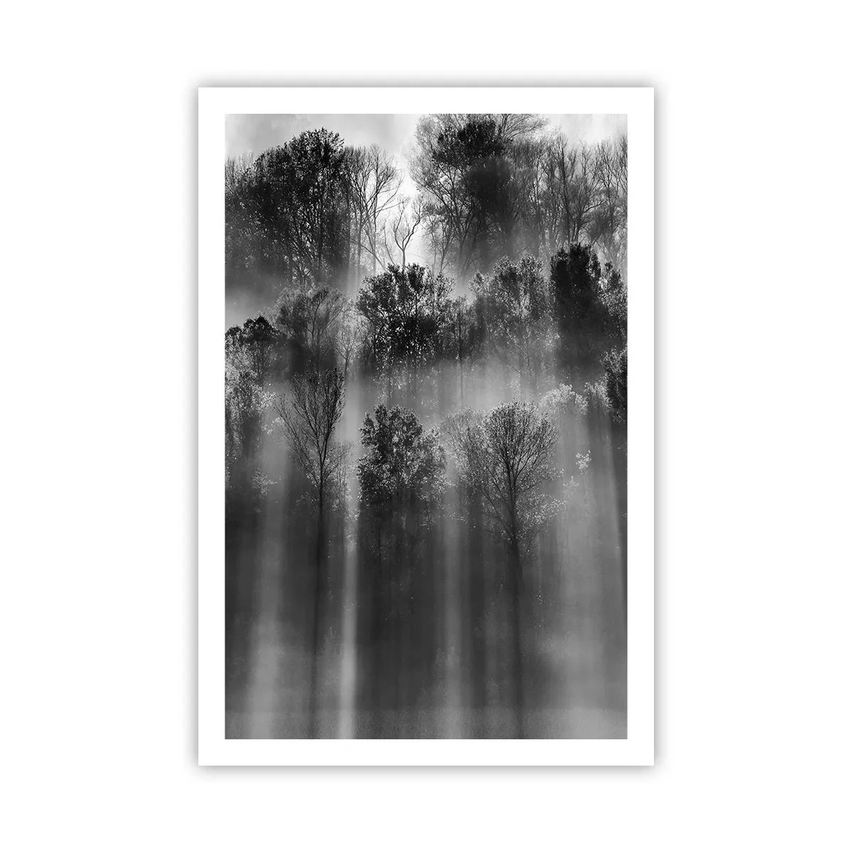 Pôster - Em correntes de luz - 61x91 cm