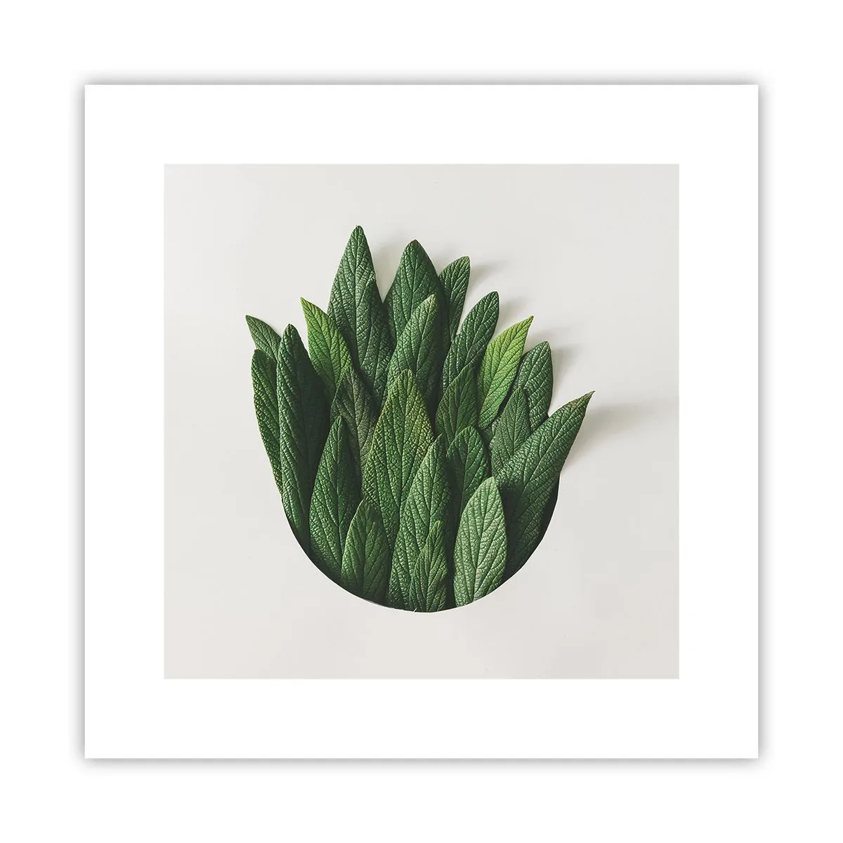 Pôster - Curiosidade indomável - 30x30 cm