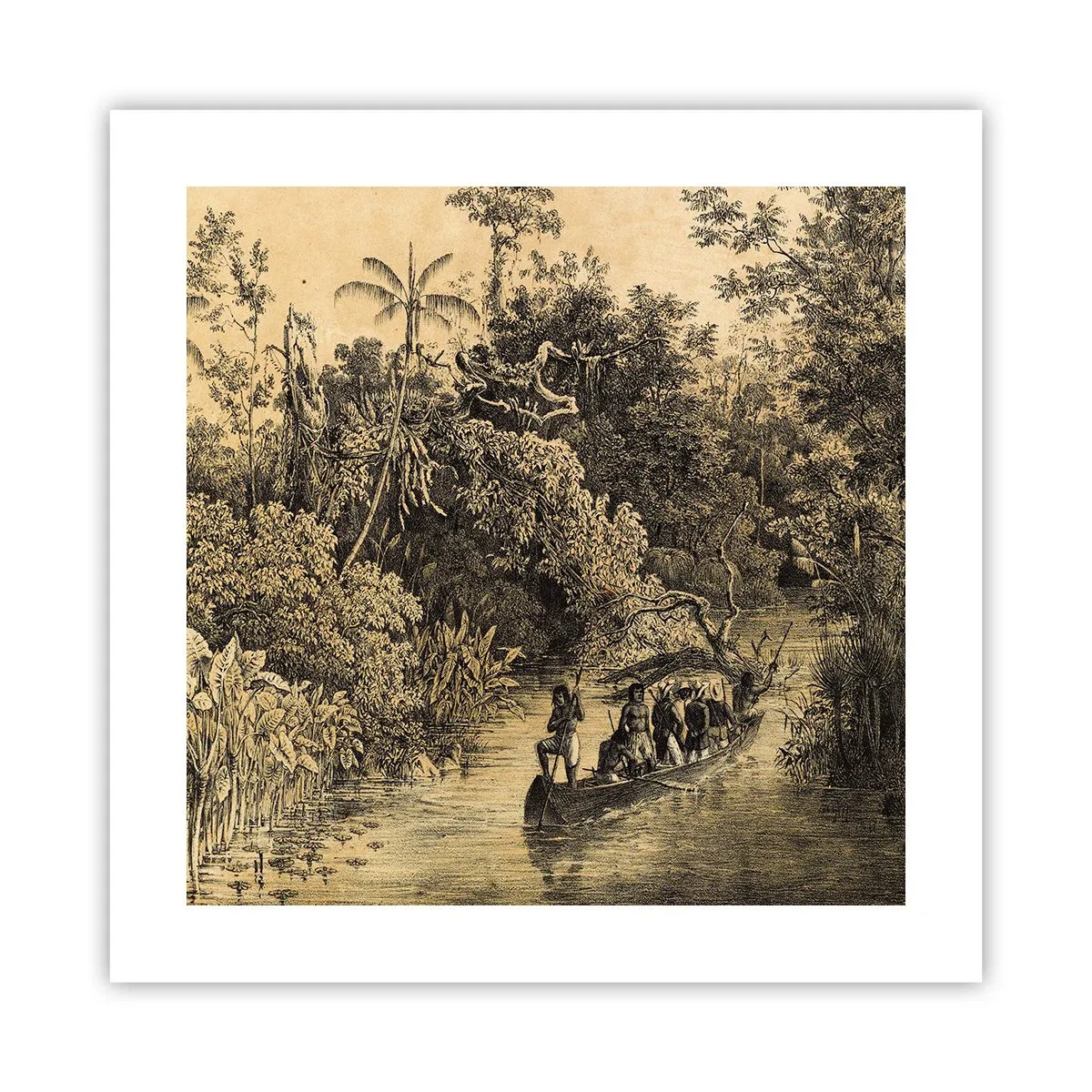 Pôster - Viagem à fonte - 40x40 cm