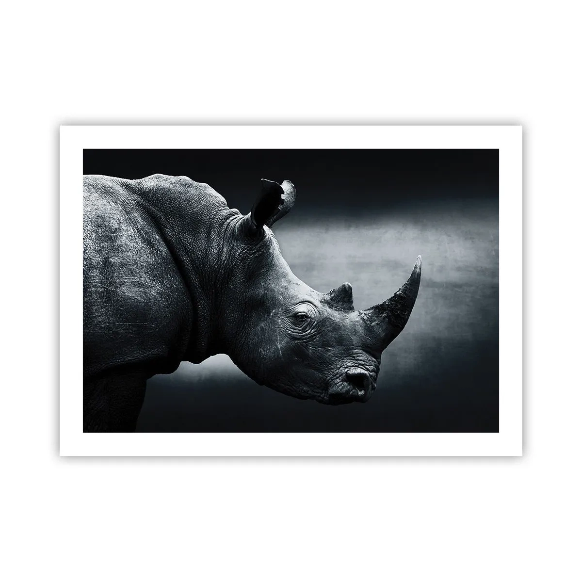 Pôster - Perfil direito - 70x50 cm