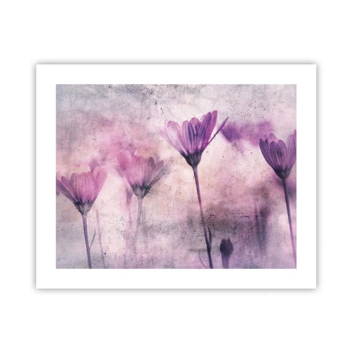 Pôster - Sonho de flores - 50x40 cm