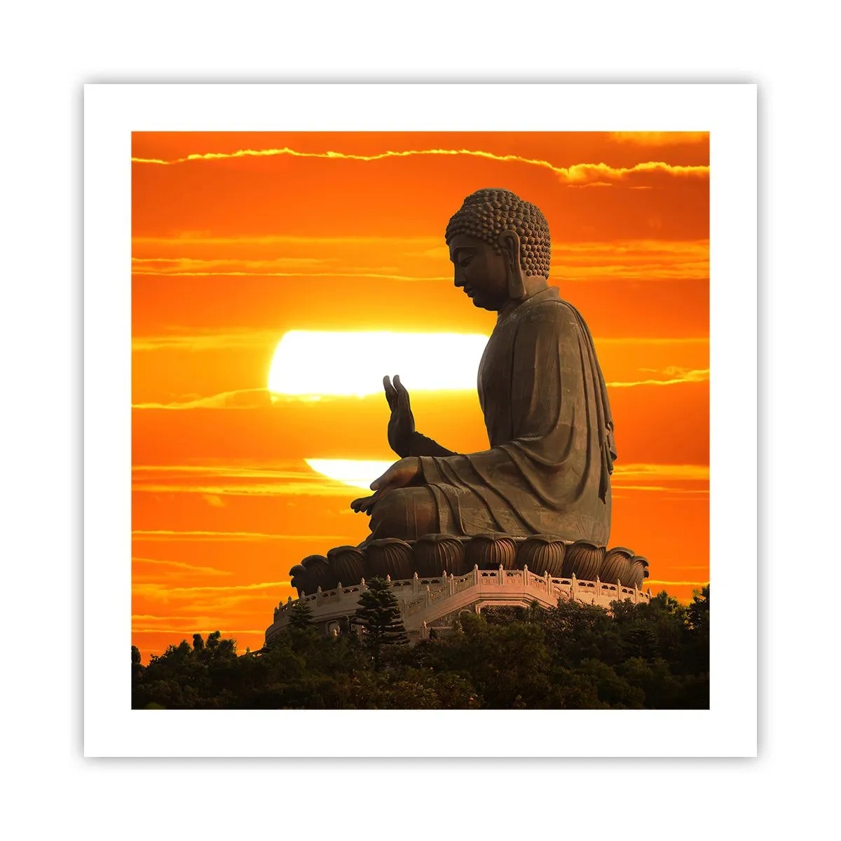 Pôster - Sem medo do mundo - 50x50 cm