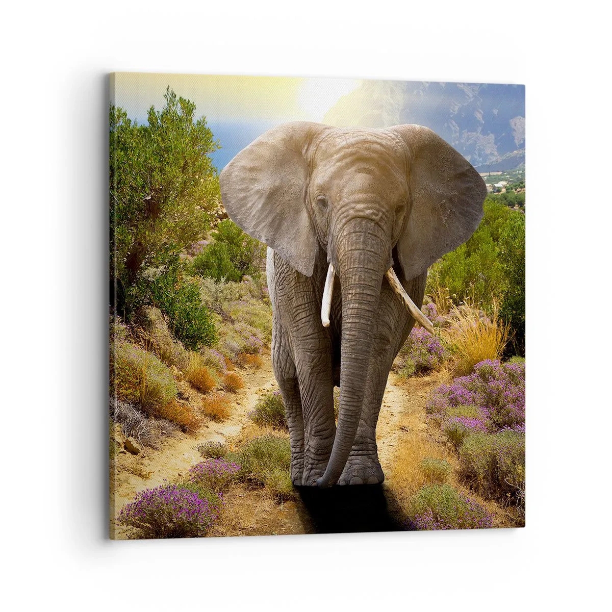 Quadro em tela - Assim era o Éden - 70x70 cm