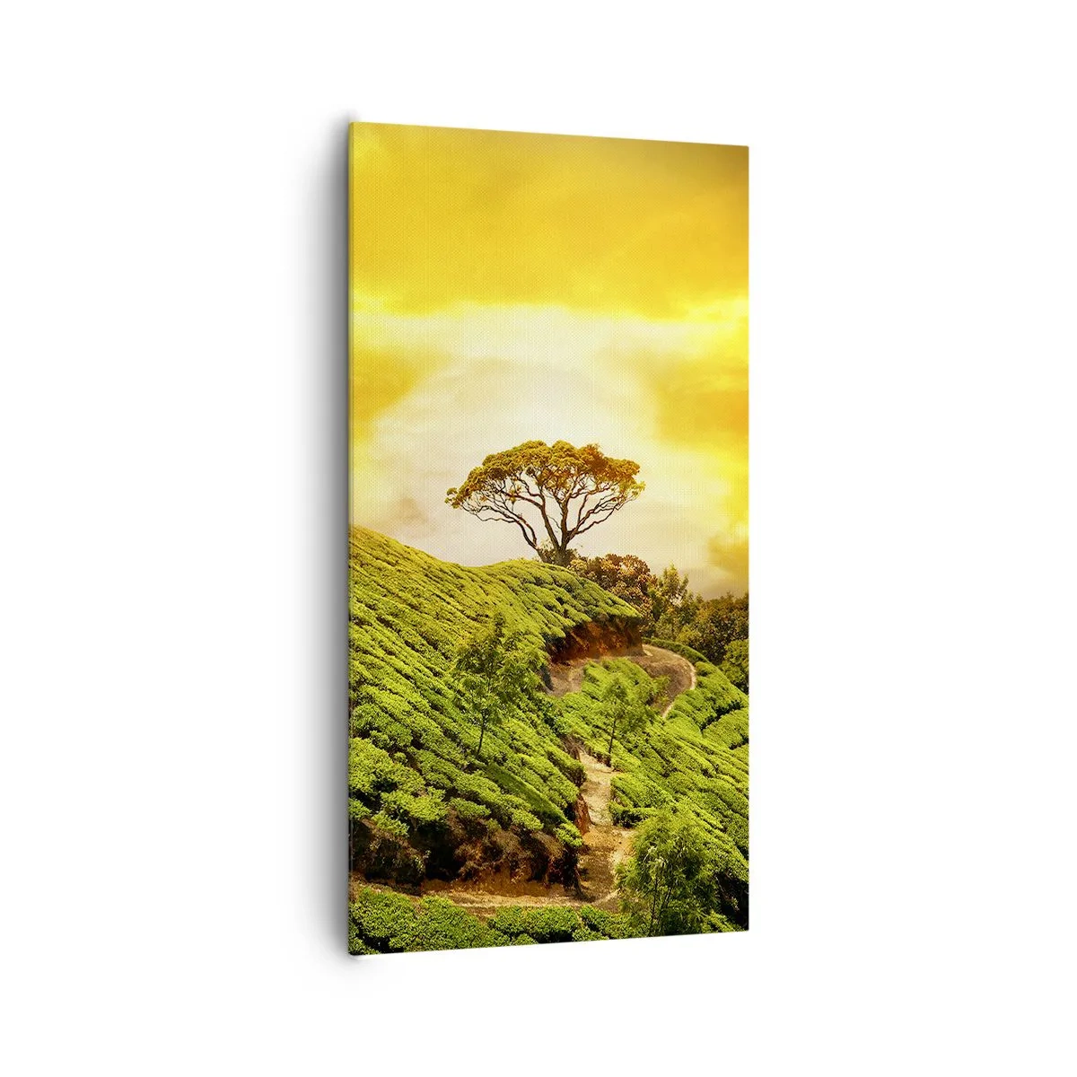 Quadro em tela - Um caminho sinuoso, uma encosta verde - 65x120 cm