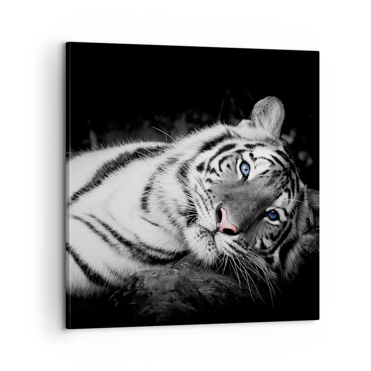 Quadro em tela - Selvagem e tranquilo - 60x60 cm