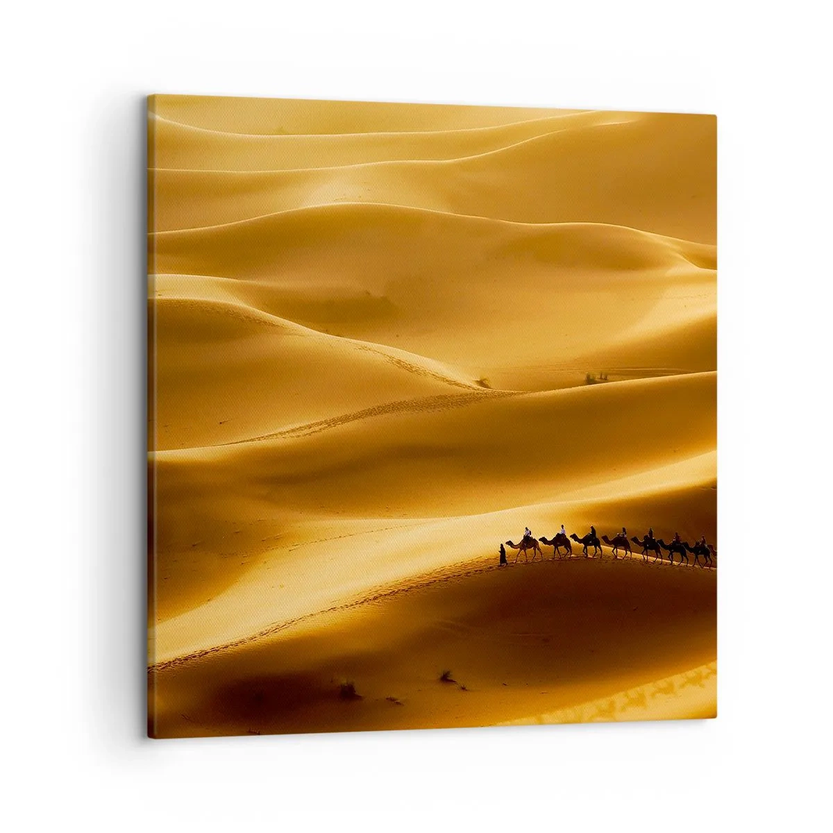 Quadro em tela - Caravana nas ondas do deserto - 50x50 cm