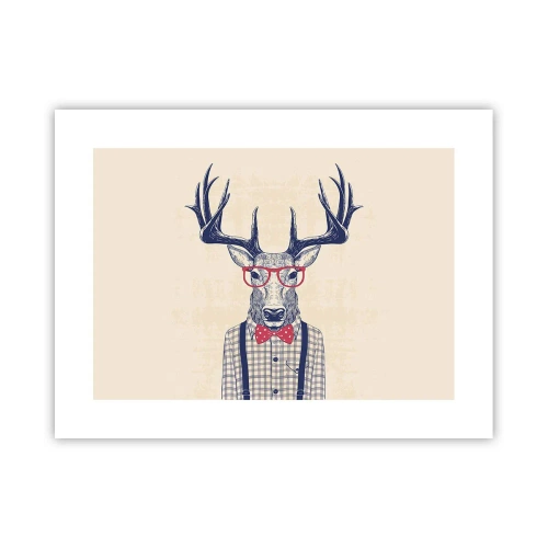 Pôster - Extravagância engraçada - 40x30 cm