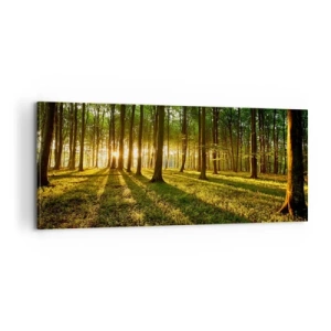 Quadro em tela - Fotografia de todas as primaveras - 100x40 cm