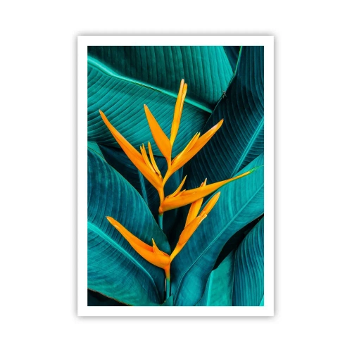 Pôster - Flor do Éden - 70x100 cm