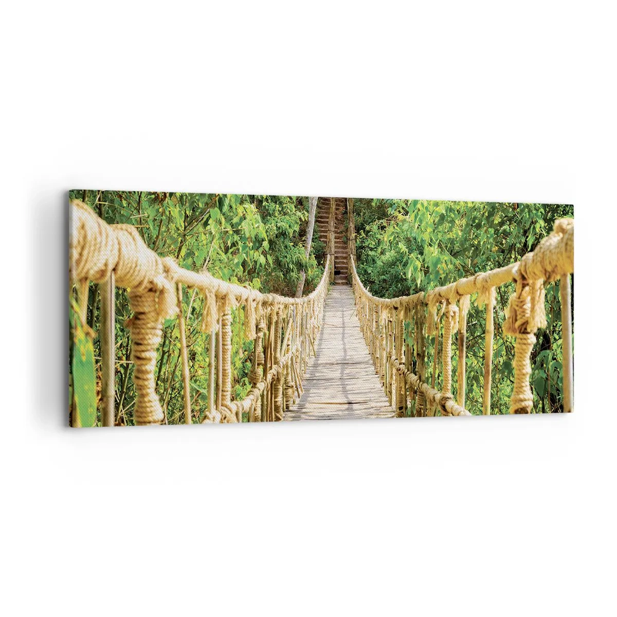 Quadro em tela - Suspenso na vegetação - 120x50 cm
