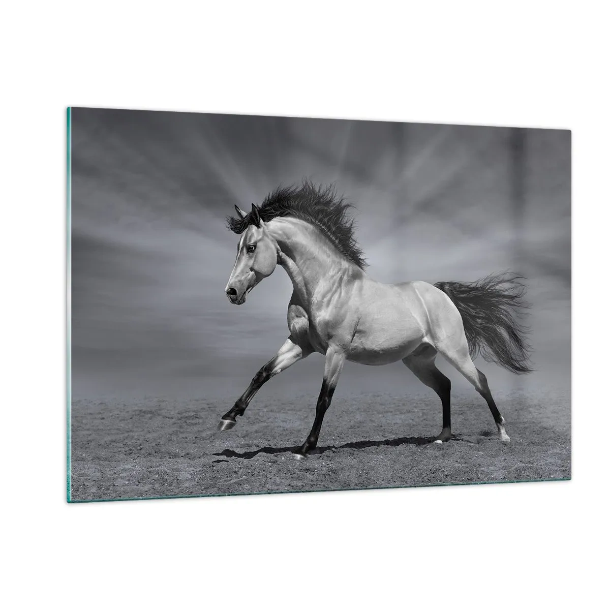 Quadro em vidro - Nascido para encantar - 120x80 cm
