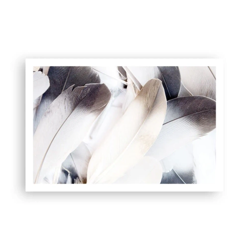Pôster - Semi-angelical - 91x61 cm